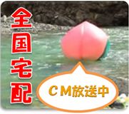 ネットで洗濯.ＣＯＭ