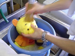 news  当店では　「ぬいぐるみ」　のクリーニングを承っています(^O^)／ %tag