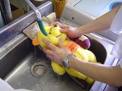 news  当店では　「ぬいぐるみ」　のクリーニングを承っています(^O^)／ %tag