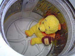 news  当店では　「ぬいぐるみ」　のクリーニングを承っています(^O^)／ %tag