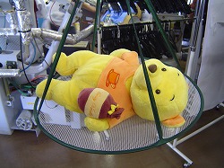 news  当店では　「ぬいぐるみ」　のクリーニングを承っています(^O^)／ %tag