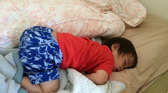 嘔吐した布団や毛布 シーツの処理方法とクリーニング店に出す前にやるべきこと クリーニング４０３ ヨンマルサン