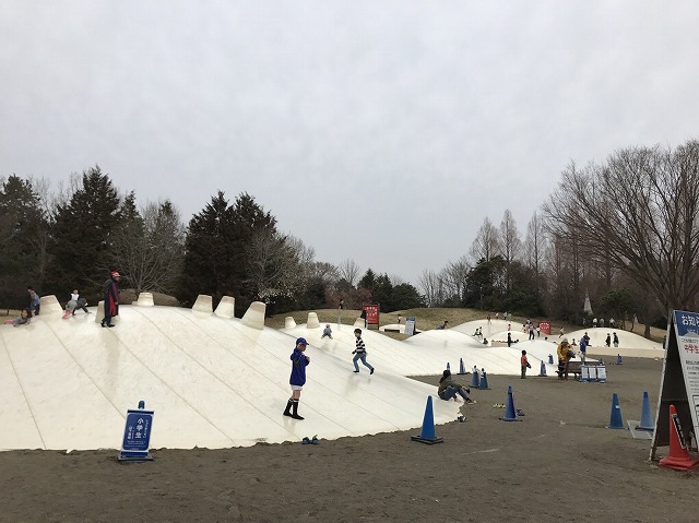 昭和記念公園 駐車場のオススメ場所を紹介 子連れの場合は特に注意 クリーニング４０３ ヨンマルサン